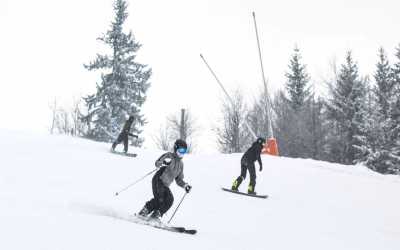 Oferty (419) - zobacz